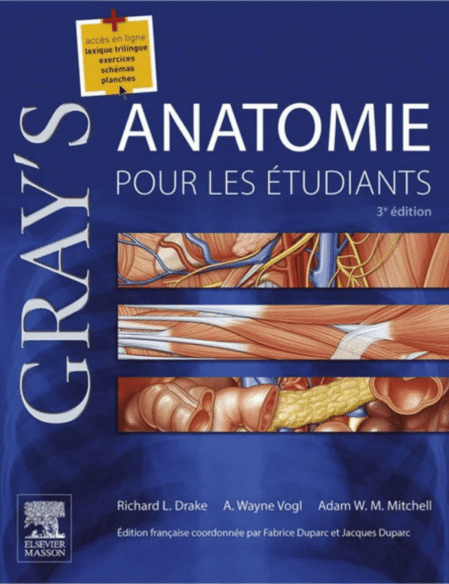 Gray's, Anatomie Pour Les Étudiants (French Edition)