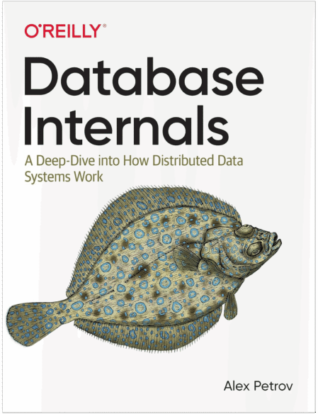 Database Internals: A Deep Dive into How Distributed Data Systems Work 1st Edition